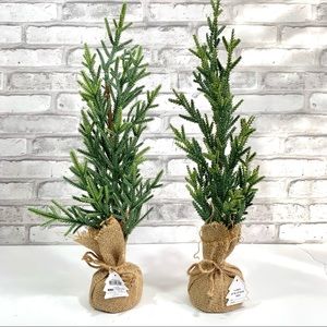 Set of 2 - 18" Table Top Christmas Tree Decorative Rustic Burlap Base